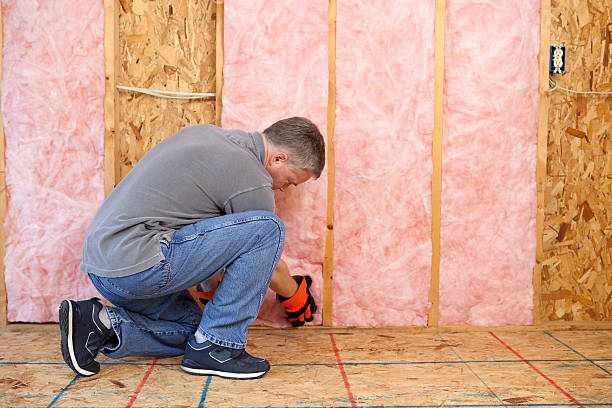 Best Commercial Insulation Services  in USA